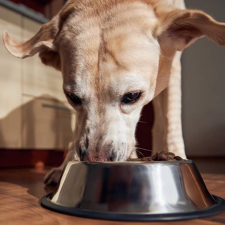 Årsager til fedtsyremangel