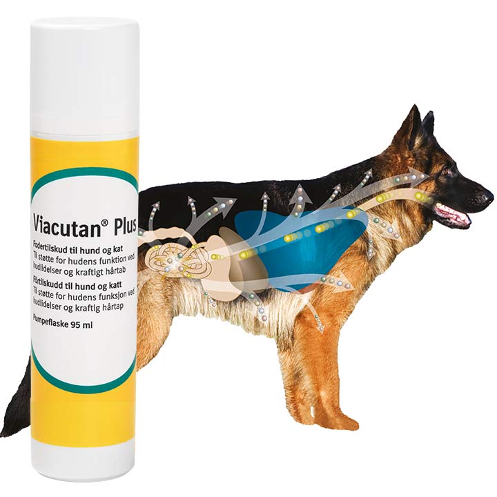 Hvorfor vælge Viacutan Plus?