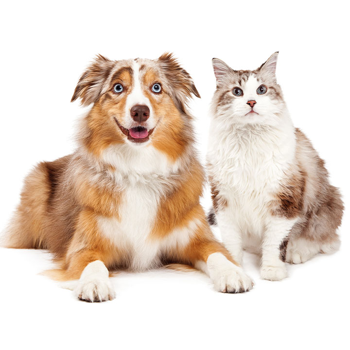 Hvorfor Viacutan Plus?