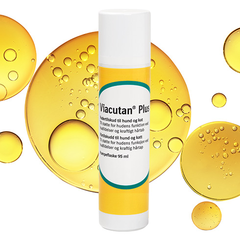 Får dit kæledyr den rette mængde fedtsyrer?