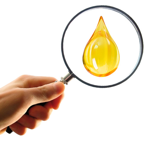 Essentielle fedtsyrer for en sund hud og pels