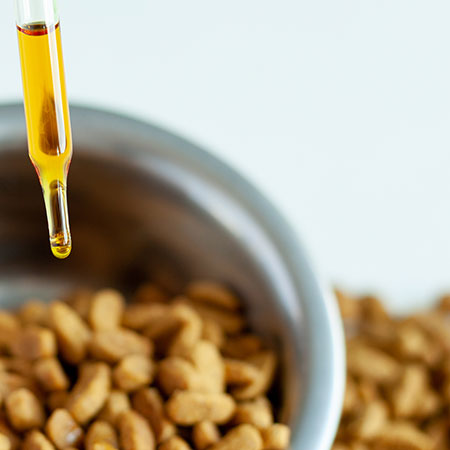 Er dit kæledyr i fedtsyreunderskud?